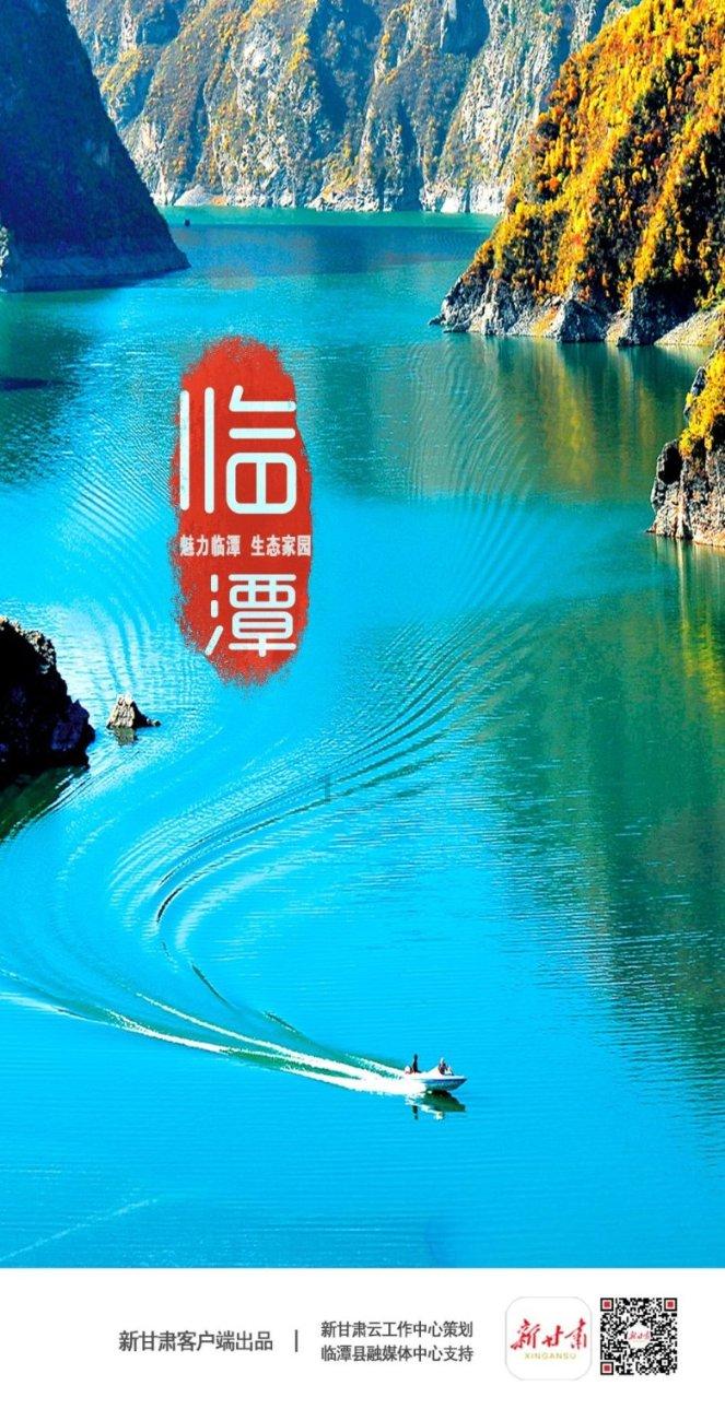 月光影视