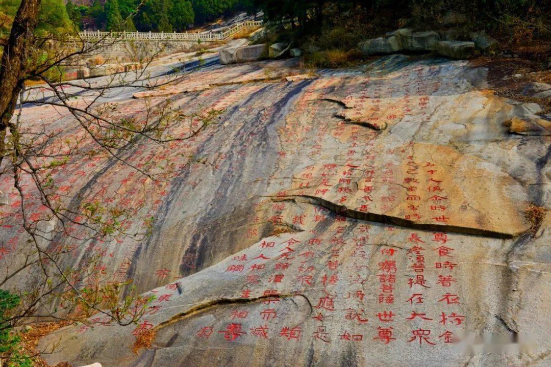 青春风暴无敌！！！杰伦-威廉姆斯未来 全明星
