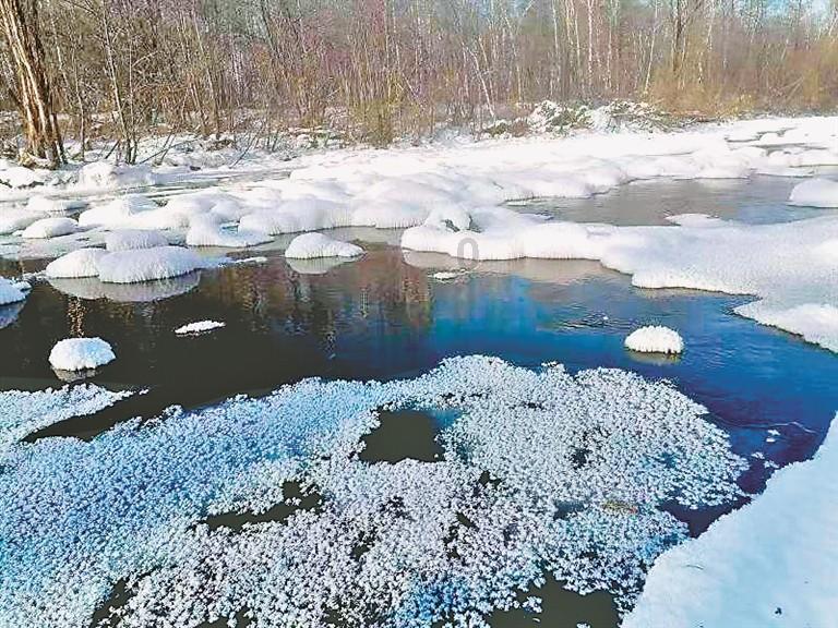滨州市阳信县:“醒狮龙”花馍迎新春 蒸出浓浓年味